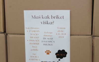 Maš kak briket viška?